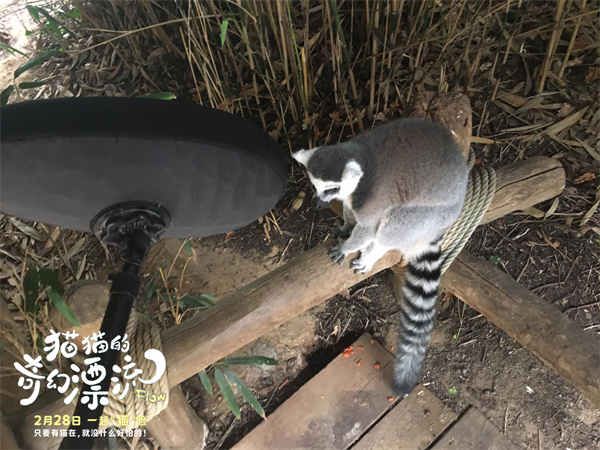 夸克网盘《猫猫的奇幻漂流》夸克网盘 百度云网盘 阿里云网盘迅雷BT资源下载[MKV]HD高清[1080P]-热文榜资源