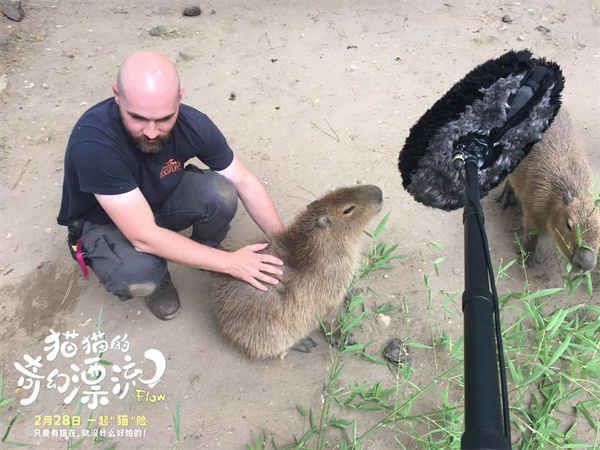 图片[2]-夸克网盘《猫猫的奇幻漂流》夸克网盘 百度云网盘 阿里云网盘迅雷BT资源下载[MKV]HD高清[1080P]-热文榜资源