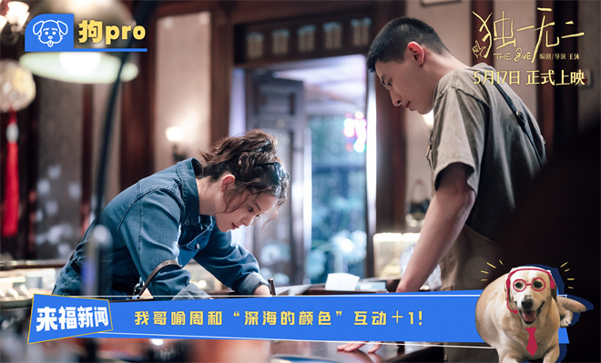 夸克网盘飞猪电影院百度云【720p/1080p高清国语】下载-热文榜资源