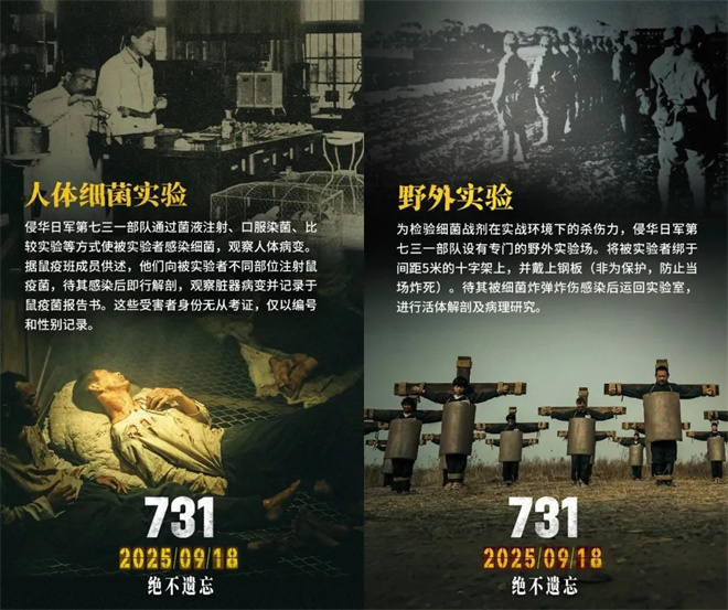 《731》加长版百度网盘迅雷BT资源国语版（HD1080P/3.6G-MP4）-3