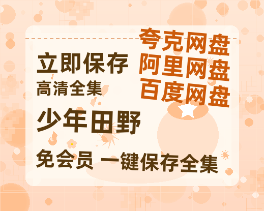 夸克网盘《少年田野》迅雷BT资源种子[MP4高清中字]百度云网盘 阿里云网盘 夸克网盘-热文榜资源