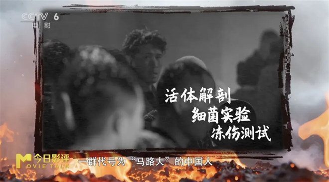 《731》迅雷资源BT种子国语中字百度网盘（HD1080P/3.8G-MKV）未删减版-1