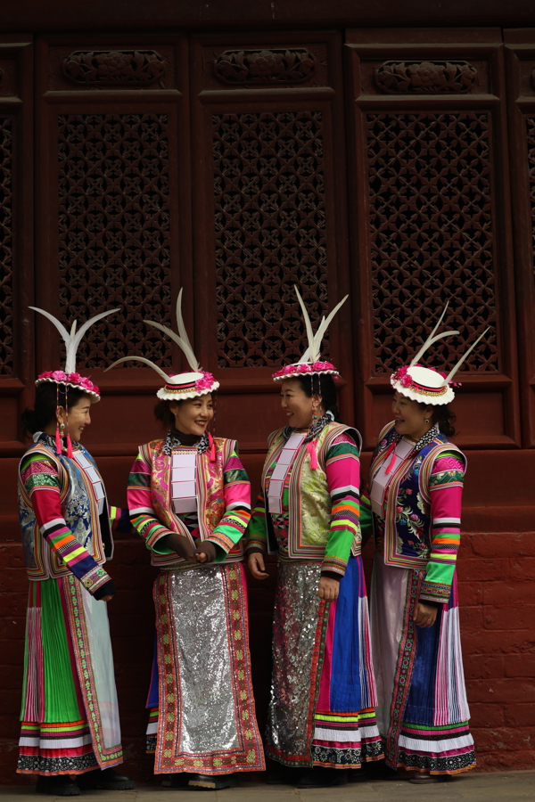 《白马姐妹》国语中字网盘独家资源上线「BD1080P/3.6G-MP4」高清