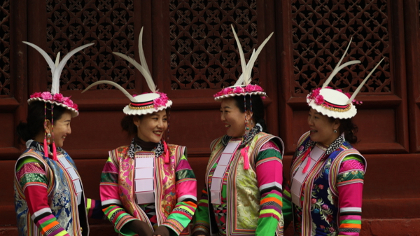 《白马姐妹》国语中字网盘独家资源上线「BD1080P/3.6G-MP4」高清