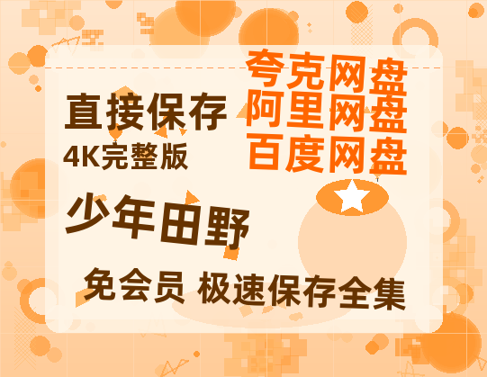 夸克网盘《少年田野》百度云网盘 阿里云网盘 夸克网盘 资源[BD720p-1080p]在线观看-热文榜资源