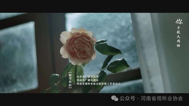 夸克网盘《娶而代之》百度云网盘 阿里云网盘 夸克网盘 【1080P高清版】资源-热文榜资源