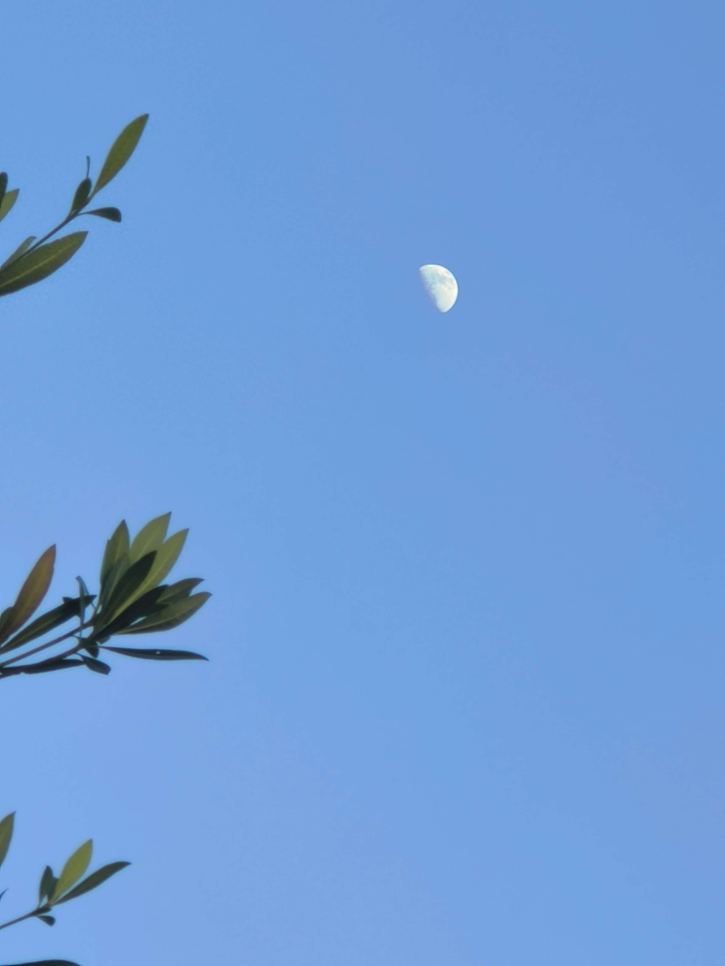 夸克网盘《疯狂动物城2》百度云网盘 阿里云网盘 夸克网盘 资源在线免费观看【1080P高清免费】链接-热文榜资源