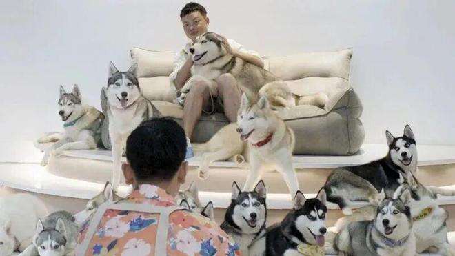 夸克网盘《恋爱游戏》百度云网盘 阿里云网盘 夸克网盘 资源迅雷[mp4]4K蓝光高清[HD1080P中字]-热文榜资源