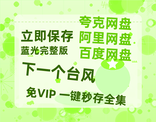 夸克网盘《下一个台风》百度云[1080p高清电影中字]百度网盘-热文榜资源