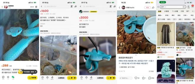 夸克网盘《疯狂动物城2》百度云网盘 阿里云网盘 夸克网盘 迅雷BT资源[BD720P-1080P中文阿里云盘]【1280p高清】-热文榜资源